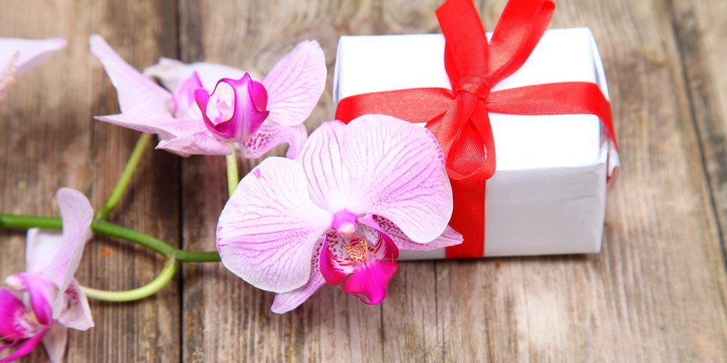 Orchid gifts